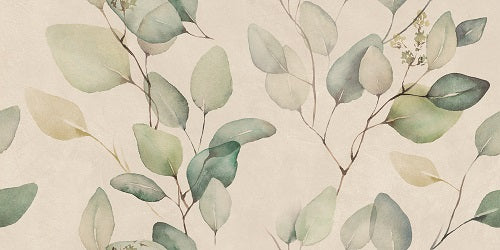 Alure Lipra Ivory 500 x 250