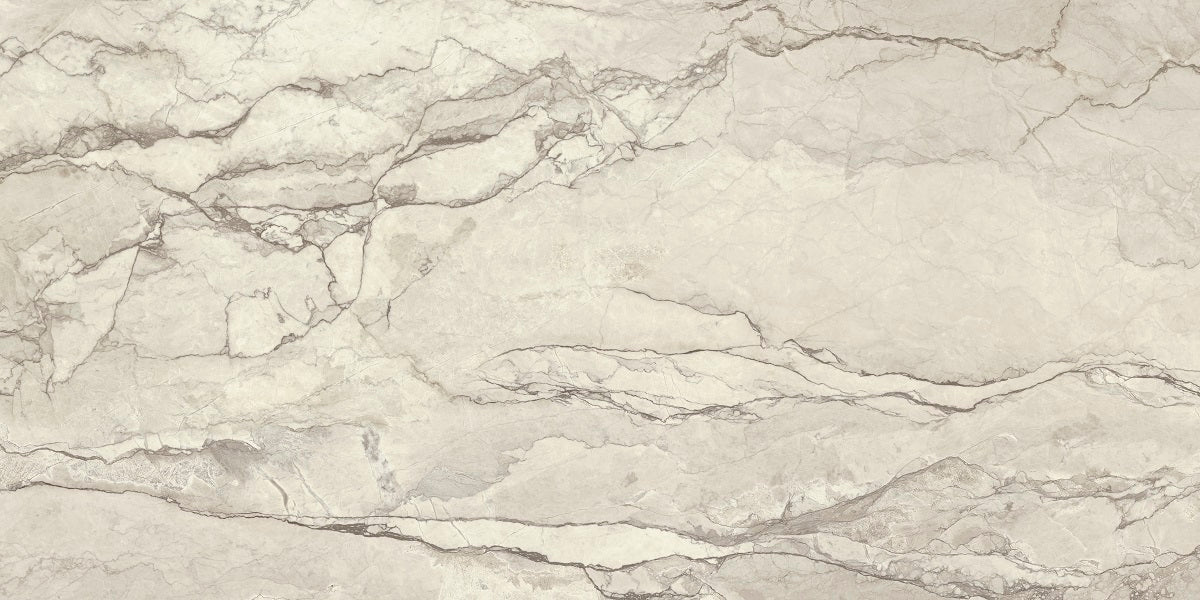 Paradox White 1200 x 600