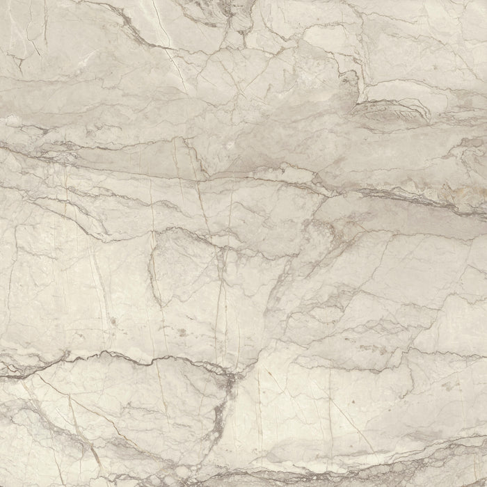 Paradox White 900 x 900