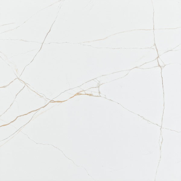 Torano Dorado Polished 600 x 600