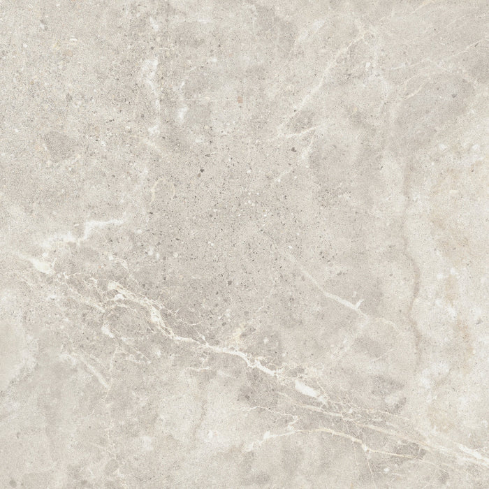 Dome Bone 800 x 800