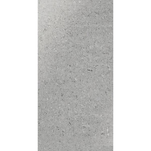 Windsor Steel Stone Effect Polished 600x300 Tiles